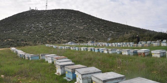 Mersin’in Orman Köylülerine Bakanlıktan 3,99 Milyon Tl Kredi Desteği