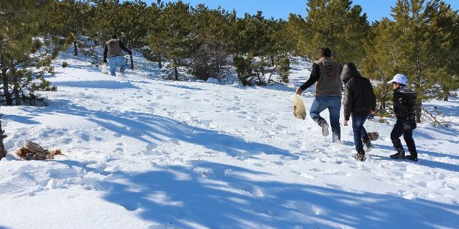 Yaban Hayatı İçin Yemleme Çalışması Yapıldı
