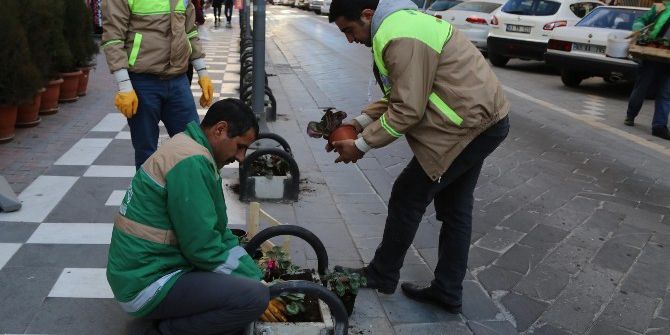 Bahçelievler Çiçeklerle Donatıldı