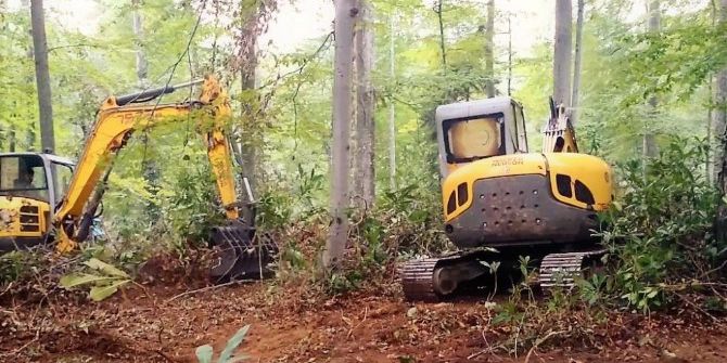 Ormanlar Gençleştiriliyor