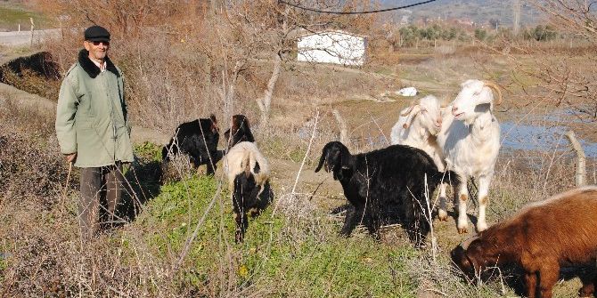 Doğuda Kar, Aydın’da Bahar