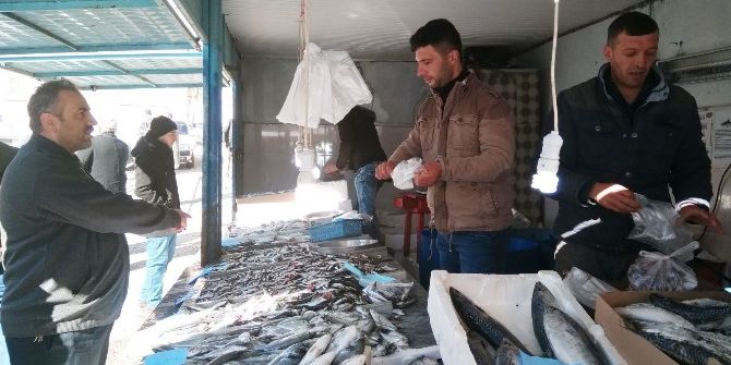 Balık Fiyatları Düştü