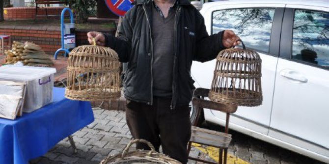 Ağacı Sanata Dönüştürüyor