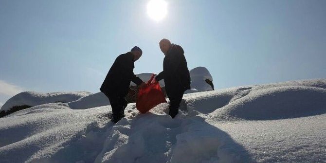 Hakkari’de Yemleme Çalışması