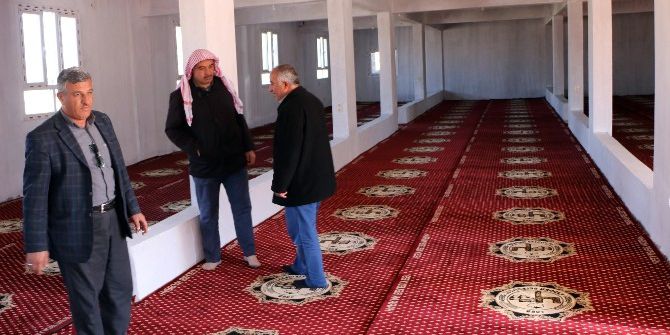 Harran Belediyesinden Cami Ve Taziye Evlerine Halı Desteği