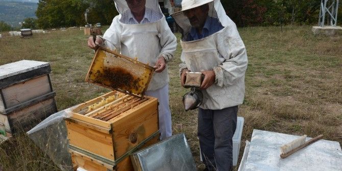 Artvin’de 434 Orman Köylüsüne 2 Milyon Tl Kredi Verildi