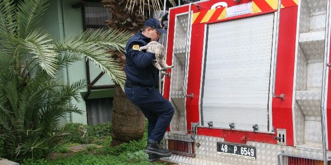 Beslenmek İçin Girdiği Otelden İtfaiye Yardımıyla Çıktı