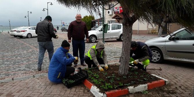 Marmaraereğlisi’nde Çiçek Dikimi Çalışmaları