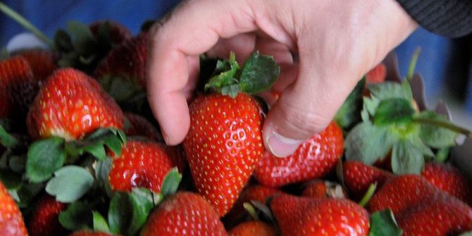 Kiloyla Değil Gramla Satılıyor