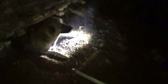 İnşaat Kalıplarının Arasında Sıkışan Köpeği İtfaiye Ekipleri Kurtardı