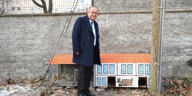 Kastamonu’da Sokak Kedilerinin De Artık Yuvası Var
