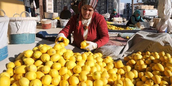Ekşi Limon İhracatla Ekonomiyi Tatlandırdı