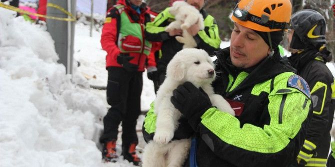 İtalya’daki Çığ Felaketinden 5 Gün Sonra 3 Köpek Yavrusu Kurtarıldı