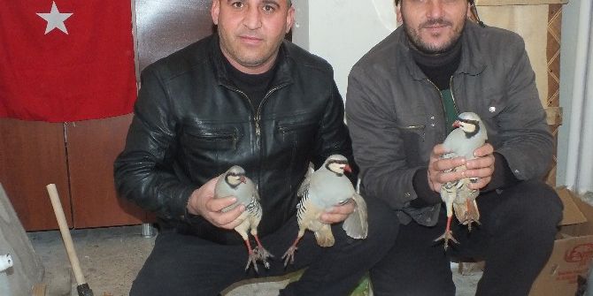 Avcılardan Örnek Davranış