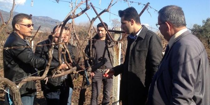 Buharkent’te Üzüm Üreticilerine Eğitim Verildi