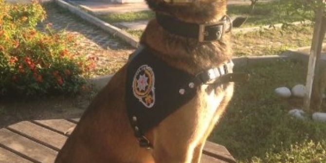 Van’da 37 Kilo Eroin Ele Geçirildi