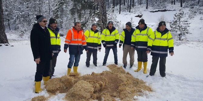Müdür Adnan Kayım: Yaşadığımız Dünyaya Duyarlı Olalım, Yaban Hayvanlarını Unutmayalım