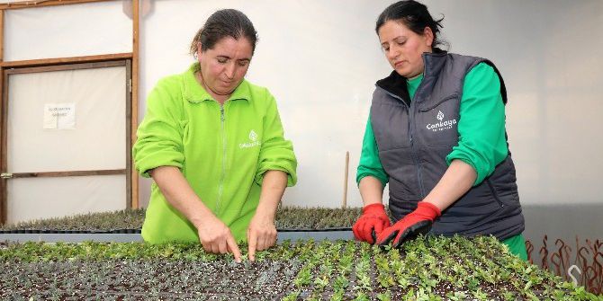Çankaya’da 500 Bin Çiçek İçin Hazırlıklar Başladı