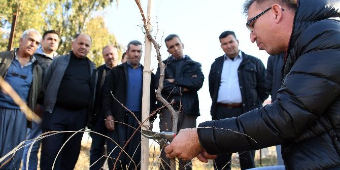 Çiftçi Bilinçleniyor, Üretim Artıyor