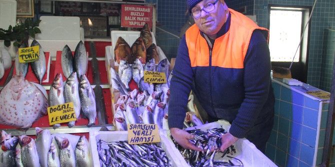 Samsun’da Hamsi 20 Tl