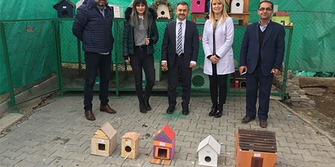 Öğrencilerden Sokak Hayvanları İçin Barınak