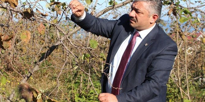 Üreticilere Tarım Sigortası Çağrısı