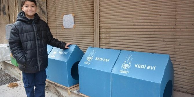 Minik Mesut’un Duyarlılığı Kedileri Donmaktan Kurtardı