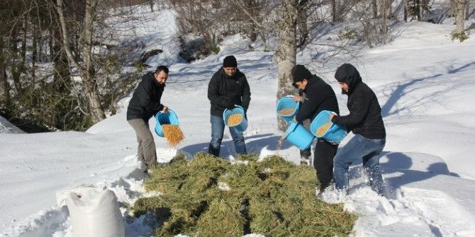 Yığılca’da Yaban Hayatına Yaşam Desteği