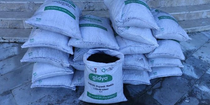 Fındıkta Verim Artışına Gidya Formülü