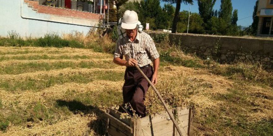 Sıfır Maliyetle Yonca Balyası