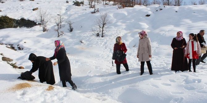 Ak Partili Kadınlar Yaban Hayvanları İçin Yem Bıraktı