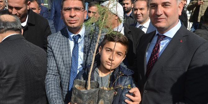 Viranşehir De 63 Bin Öğrenciye 63 Bin Fidan Kampanyası