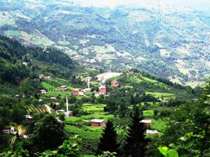 Giresun Düzköy Köyü