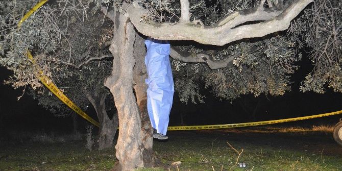 Kendini Ağaca Asarak İntihar Etti