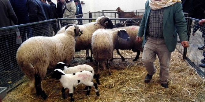 Aydınlı Çiftçiler İzmir Tarım Fuarını Ziyaret Etti
