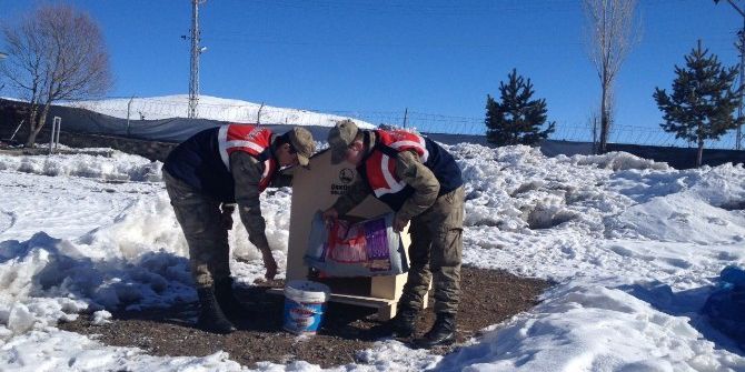 Dağpınar Jandarmadan Örnek Davranış