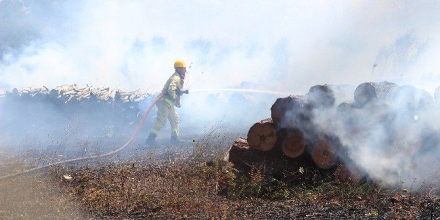 Çanakkale’deki Orman Yangını