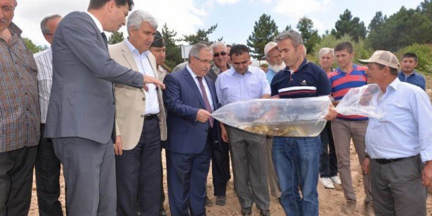 Sekiören Göleti’ne Sazan Yavruları Bırakıldı