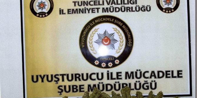 Tunceli’de Esrar Operasyonu