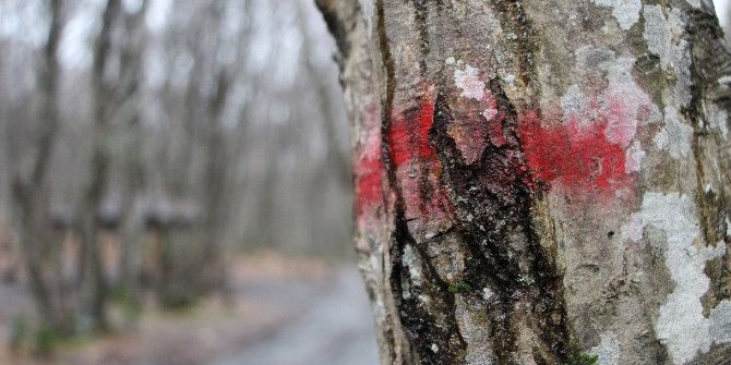 Vatandaşlardan ‘Belgrad Ormanı’ Tepkisi