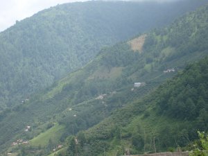 Giresun Doymuş Köyü