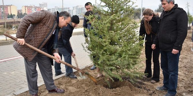 Yunusemre’de 1 Milyon Fidan Toprakla Buluşuyor