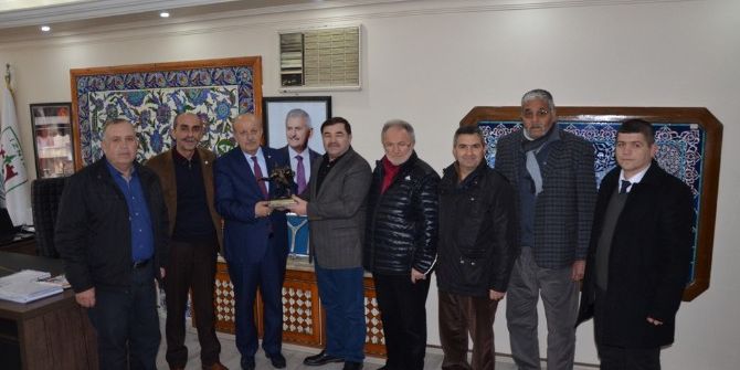 Balkan Güreş Şampiyonası İznik’te Yapılacak