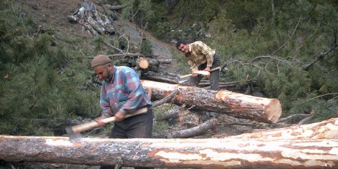 Çorum’da Ormanlara 71 Milyon Liralık Yatırım
