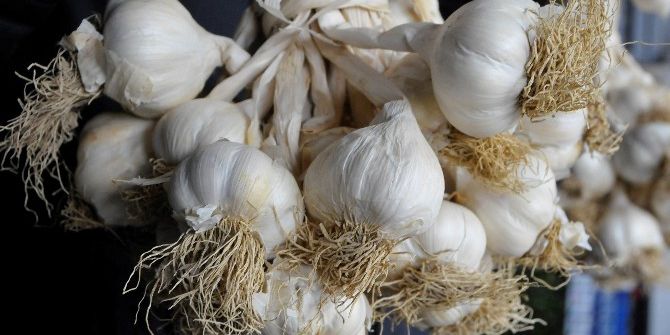 Sarımsak Taneyle Satılır Oldu