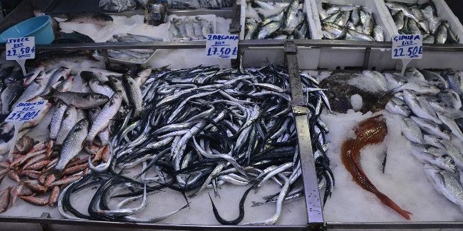 Kısır Döneme Girildi, Balık Fiyatları Tavan Yaptı