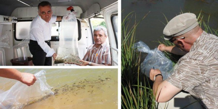 Eskişehir’de Balıklandırma Çalışmaları