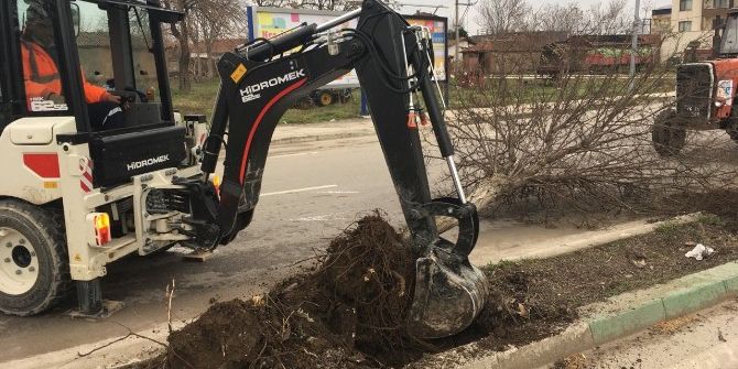 Karacabey’de Ağaçlar Kesilmiyor