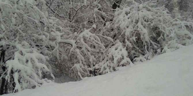 Şemdinli’de Kar Yağışı