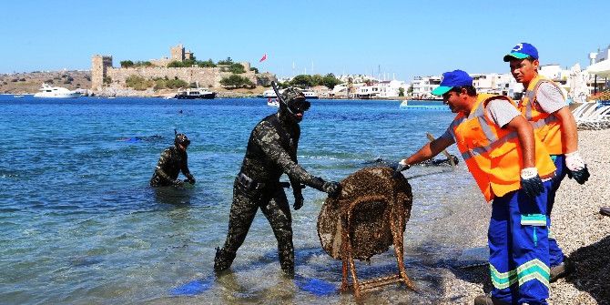 Deniz Dibi Temizlik Kampanyası Başlıyor